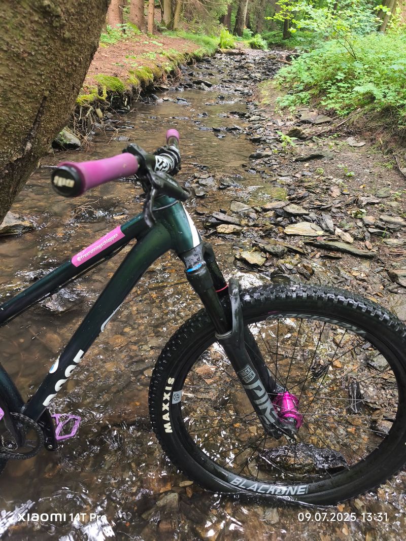 Used Rose THE BRUCE 2 2021 2021 Mountainbike, Green, 26 — image 2 of 14