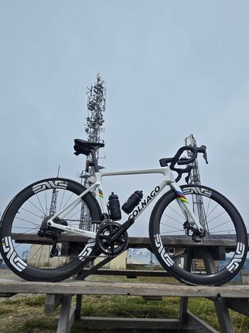 Used Colnago V4Rs World Champion 2025 Road & Gravel, White — image 2 of 5
