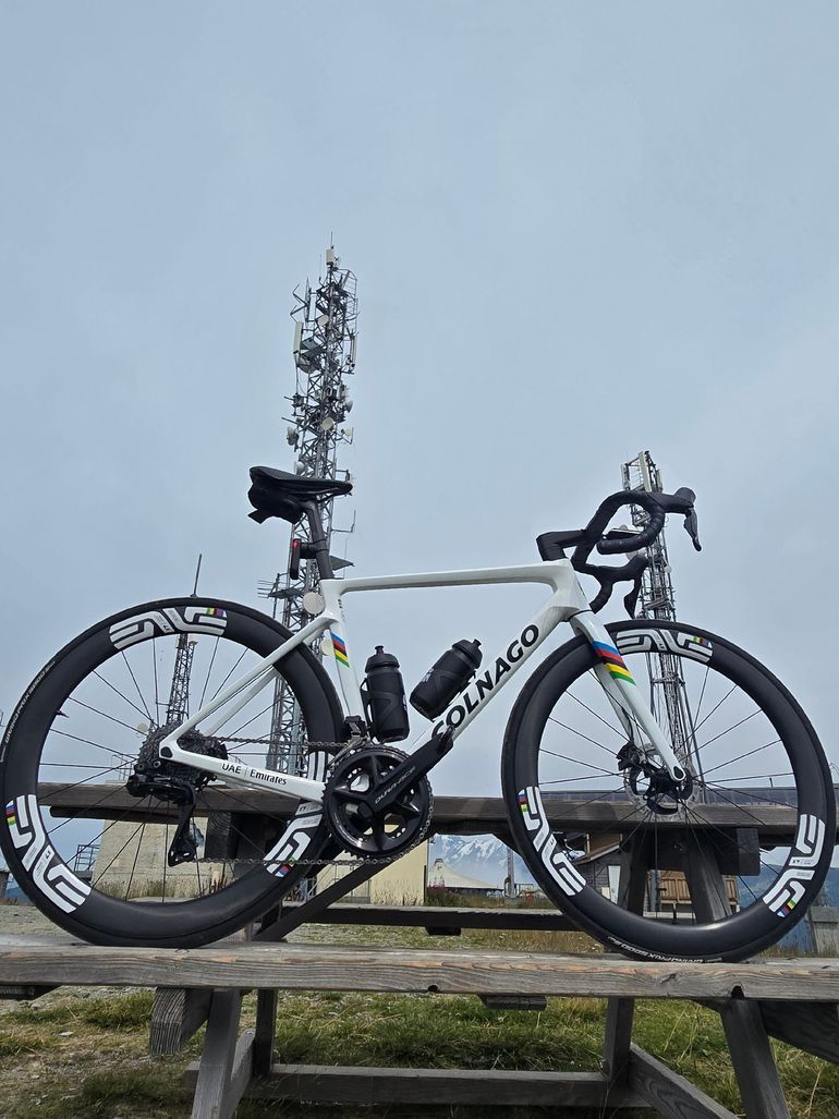Used Colnago V4Rs World Champion 2025 Road & Gravel, White — image 2 of 5