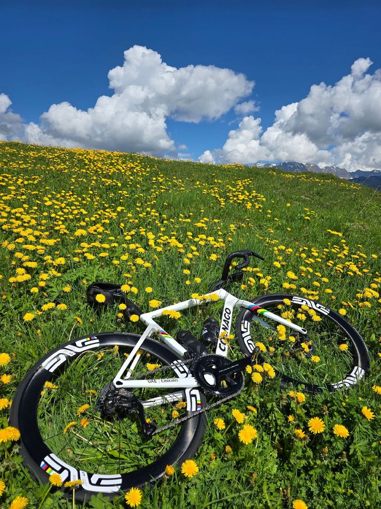 Used Colnago V4Rs World Champion 2025 Road & Gravel, White — image 4 of 5