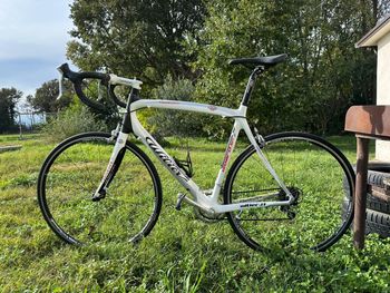 Used Wilier Izoard Xp 2010 2010 Road & Gravel — image 2 of 4