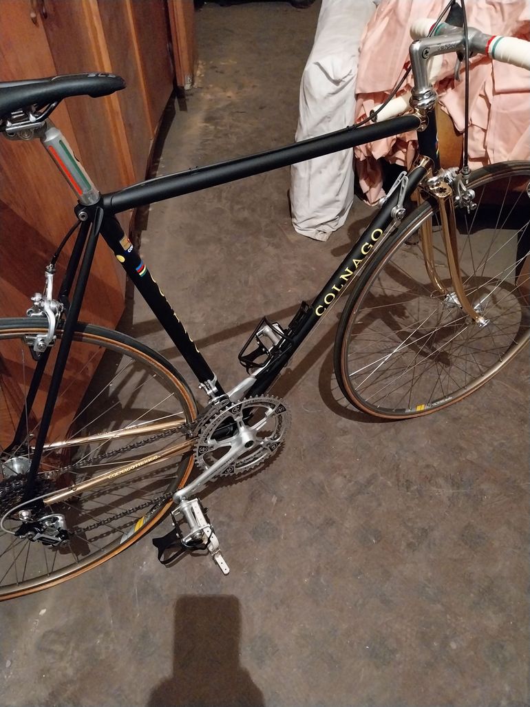 Colnago Colnago Mexico Oro 1981 1981