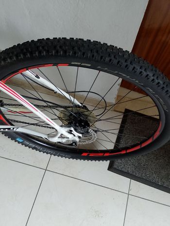 Used Specialized Specialized 2020 Mountainbike, White — image 4 of 5