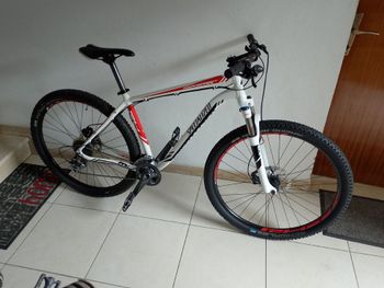Used Specialized Specialized 2020 Mountainbike, White — image 1 of 5
