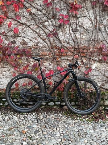 Trek, Procaliber 9.8 2023