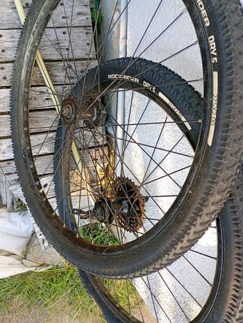 Used SUNN Urb Ascent Frameset 2023 Road & Gravel, Green — image 28 of 29