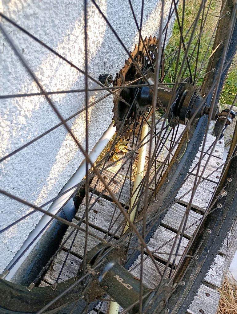 Used SUNN Urb Ascent Frameset 2023 Road & Gravel, Green — image 29 of 29