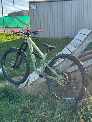 Used Canyon Torque 29 CF 8 2023 2023 Mountainbike, Green, 29 — image 2 of 4