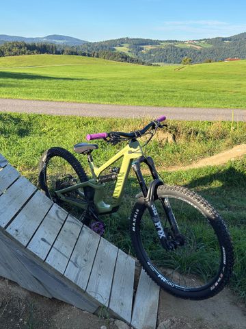Used Canyon Torque 29 CF 8 2023 2023 Mountainbike, Green, 29 — image 4 of 4