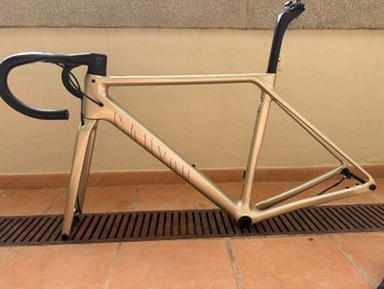 Used Canyon Ultimate CFR Disc Di2 2022 Frameset 2022 Road & Gravel