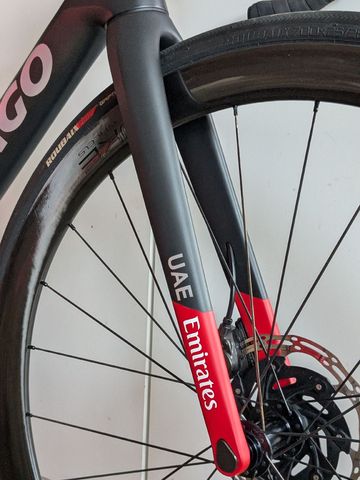 Used Colnago 2024 Frameset 2024 Road & Gravel, Black — image 4 of 21