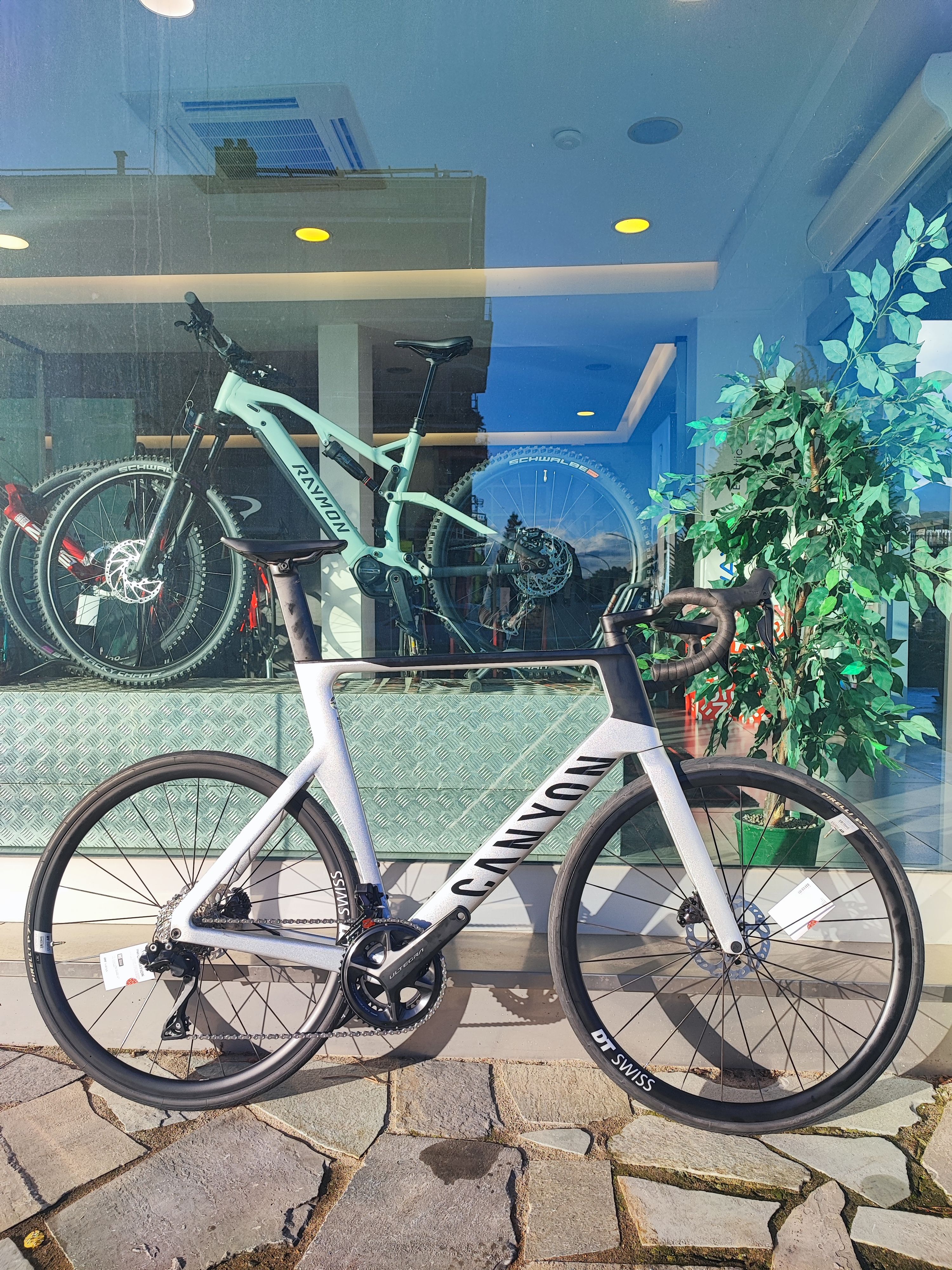 6efc18ed-336c-46e1-8e40-