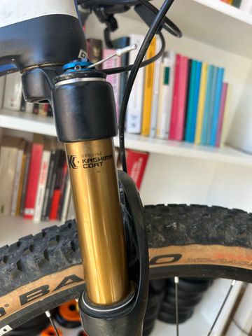 Brugt Orbea OIZ M30 2016 2016 Mountainbike — billede 6 af 11
