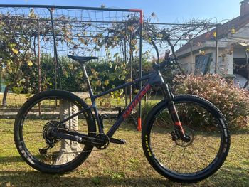 Santa Cruz, Highball S / Carbon C / 29 2021