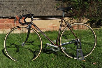 Used Colnago NOS Arabesque, Campagnolo 50th Anniversary, 1984 1984 Road & Gravel — image 15 of 40