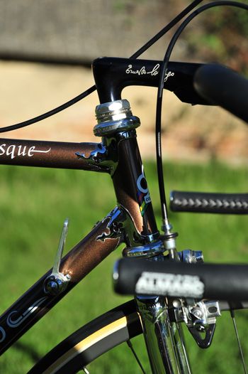 Used Colnago NOS Arabesque, Campagnolo 50th Anniversary, 1984 1984 Road & Gravel — image 17 of 40