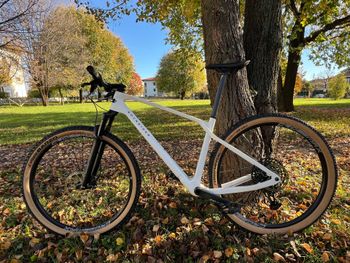 Used ROCKRIDER RACE 900 GX 2024 Mountainbike, Weiß — image 1 of 6