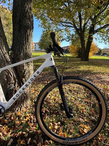 Used ROCKRIDER RACE 900 GX 2024 Mountainbike, Weiß — image 5 of 6