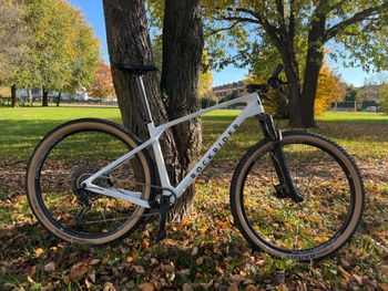 Used ROCKRIDER RACE 900 GX 2024 Mountainbike, Weiß — image 2 of 6