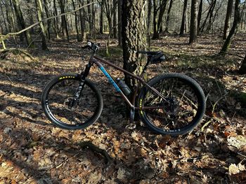 Santa Cruz, Chameleon SRAM GX Eagle