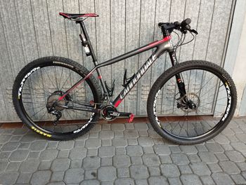 Cannondale Cannondale F29 29er Lefty Carbon/Shimano XT/Size M