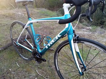 Used Trek Domane 4.3 Triple 2014 2014 Road & Gravel, Blue — image 7 of 19