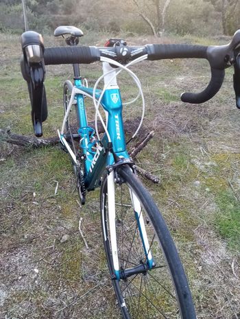 Used Trek Domane 4.3 Triple 2014 2014 Road & Gravel, Blue — image 10 of 19