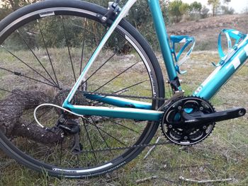Used Trek Domane 4.3 Triple 2014 2014 Road & Gravel, Blue — image 3 of 19