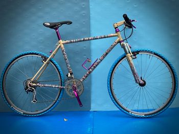 dario pegoretti, DARIO PEGORETTI CUSTOM MTB NOS