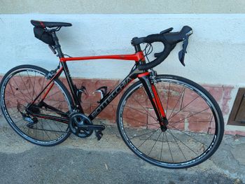 Bottecchia, 8Avio Evo Shimano 105