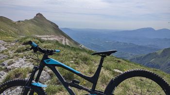 YT Industries, Capra 29 AL 2018