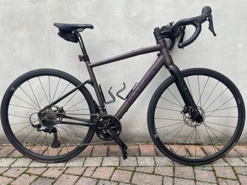 Used Basso Tera Gravel Shimano GRX 600 2X11 2023 2023 Road & Gravel, Violett — image 1 of 5