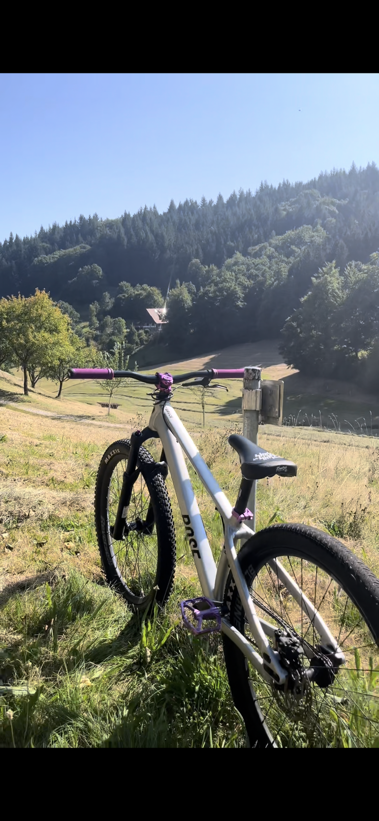 Searching for a Leftist Constitutionalism, image size:770x1666