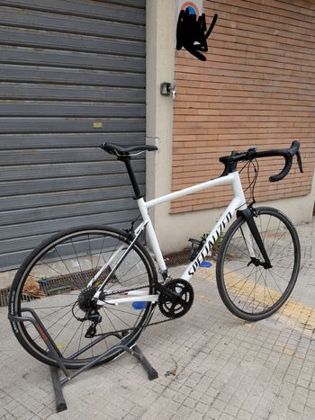 Specialized, Allez Sport 2019