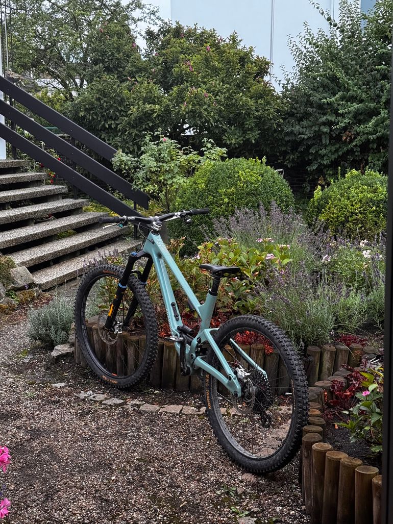 Forbidden Druid V2 XX AXS 2024