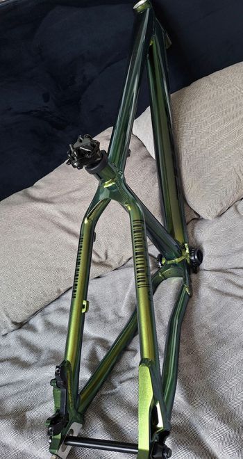Used Trek Ticket 2024 Frameset 2024 Mountainbike, Green — image 3 of 9