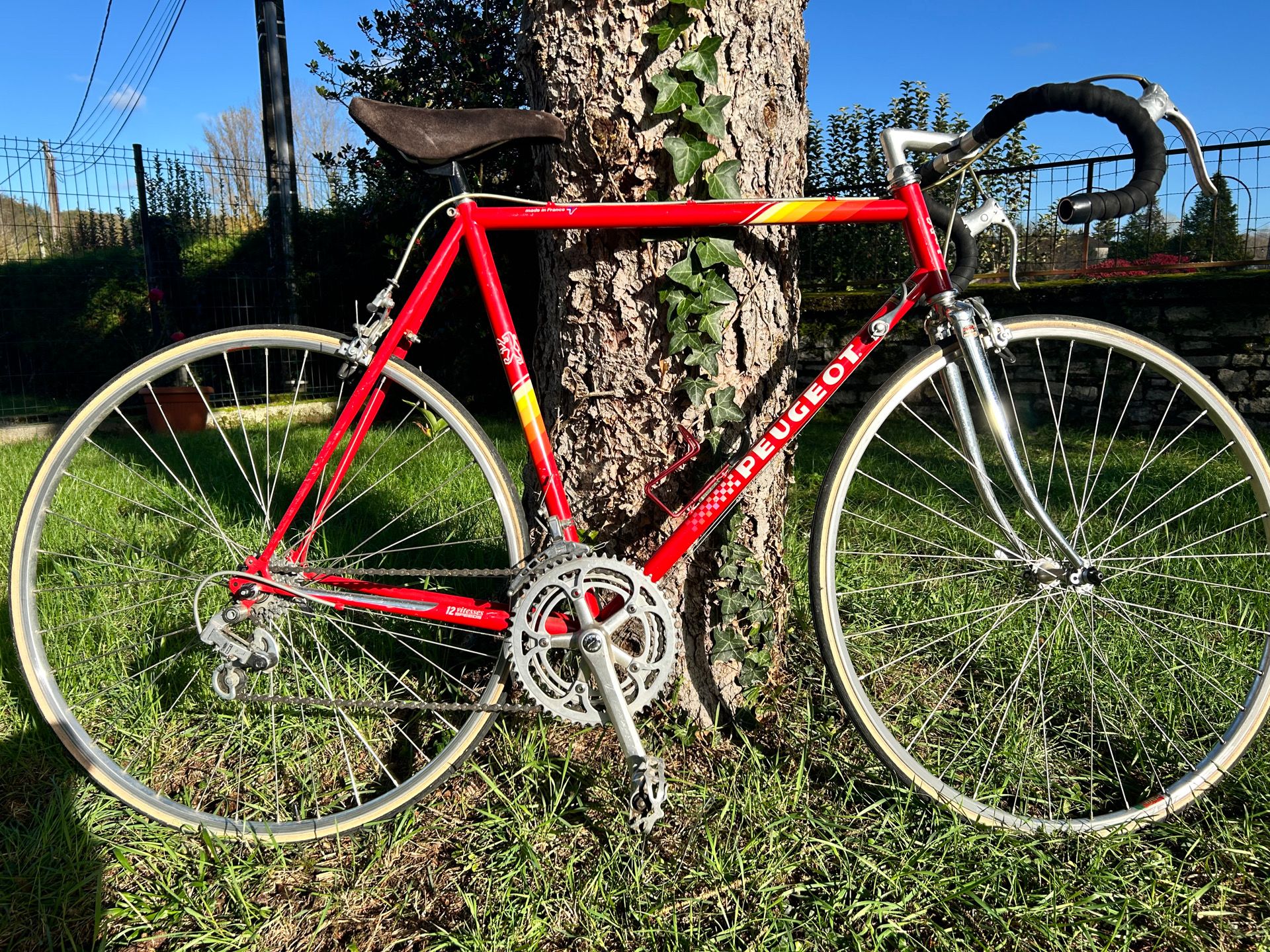 24b3dde5-8bee-4f79-9bbc-