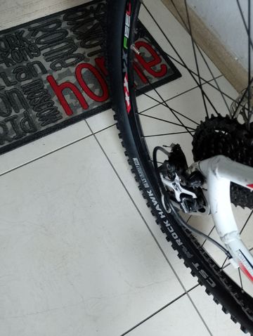 Used Bianchi Olimpia 2021 Mountainbike, White — image 4 of 4