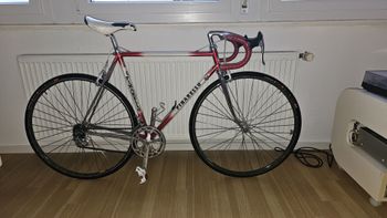 Pinarello, Montello