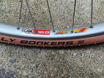 Thumbnail 19