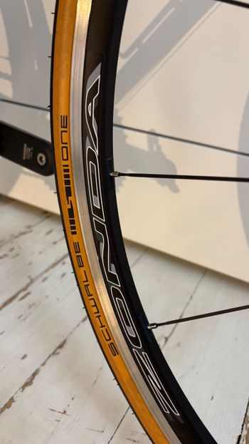 Used Francesco Moser Forma 1990 Road & Gravel, Light Gray — image 12 of 17