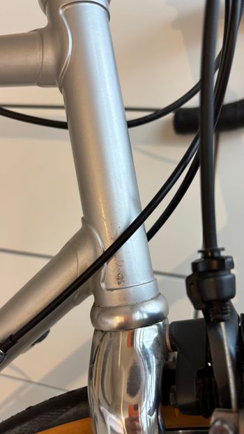 Used Francesco Moser Forma 1990 Road & Gravel, Light Gray — image 15 of 17