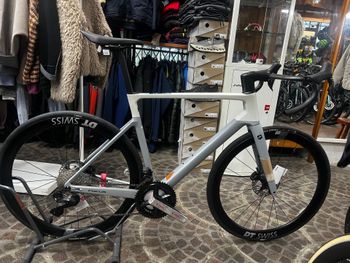Focus, IZALCO MAX 9.8 2024