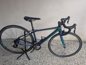 Merida, SCULTURA 400 2017