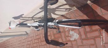 Olmo, ZeroTre Disc