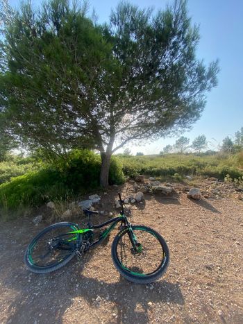 Used Giant Trance 2 2017 2017 Mountainbike, Grün, 27.5 — image 3 of 9