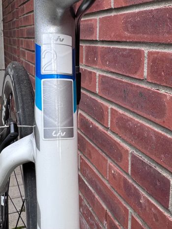 Used Liv EnviLiv Advanced 2 Carbon Aero-Rennrad 2019 Gr. M 2019 Road & Gravel, White — image 9 of 17