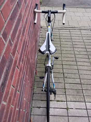 Used Liv EnviLiv Advanced 2 Carbon Aero-Rennrad 2019 Gr. M 2019 Road & Gravel, White — image 4 of 17