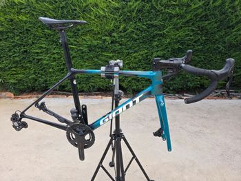 Gebrauchtes Giant Tcr Campagnolo Super Record EPS 2022 Road & Gravel