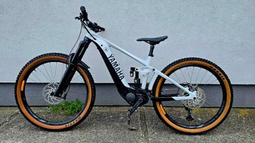 Gebrauchtes Giant Reign E+ 1 2022 2022 Mountainbike, Hellgrau, 29 — Bild 1 von 8